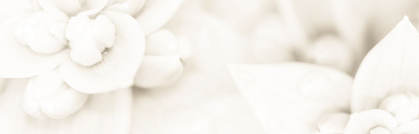 theangelvibe.com
